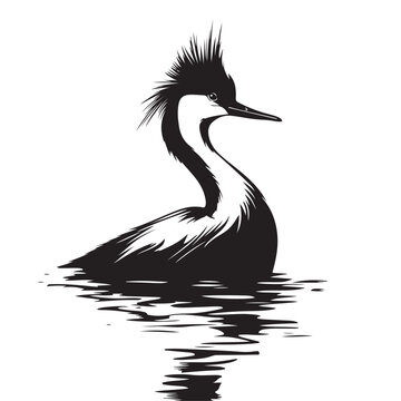 recommend clip art: Great crested grebe on the water Image vector isolated on white background.