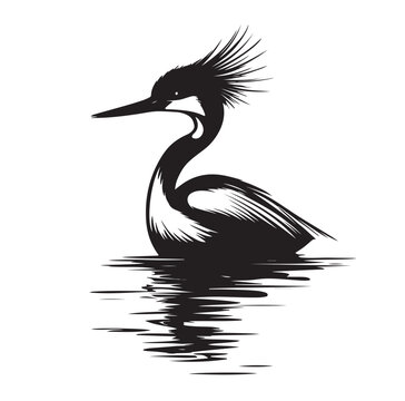 recommend clip art: Great crested grebe on the water Image vector isolated on white background.