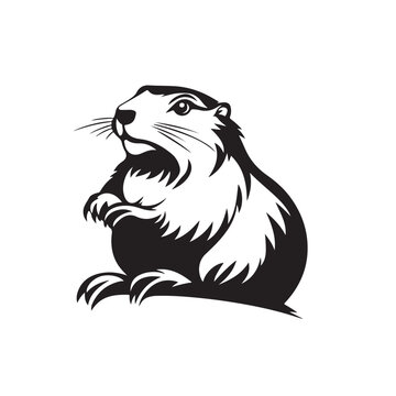 recommend clip art:  Groundhog Stock image Vectors isolated on white background.