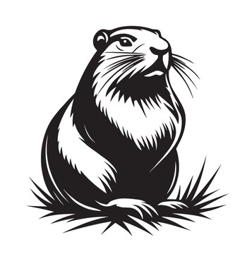 recommend clip art: Groundhog Silhouette Stock Illustrations isolated on white background.