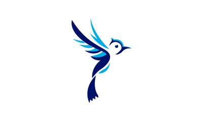 Beautiful flying bird logo design