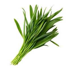 Obraz premium bunch of fresh green onion