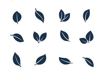 Fototapeta premium Collections of Green Leaves Icon. leaf icon for natural, eco, bio, organic product, vegan label, herbal nature elements, fresh tree and plant. isolated in white background in vector SVG illustration
