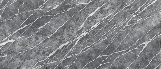 Fototapeta premium Gray Marble Texture