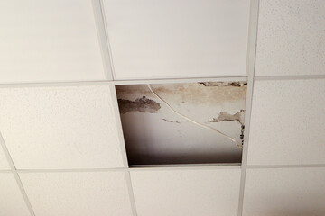 Photography of a ceiling tile damage by water.mildew.brown stain, office building.A nasty ceiling with water and mold damage to it from a leak.fungus.flood