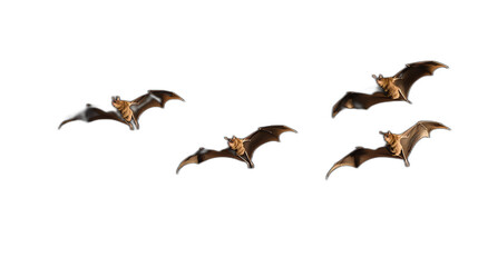 A group of bats flying across the night sky placed against a solid black background