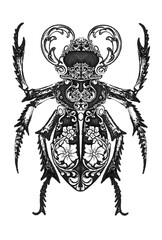bug ornamental black and white