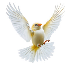 Obraz premium beautiful bird in flight isolated on transparent background Generative AI