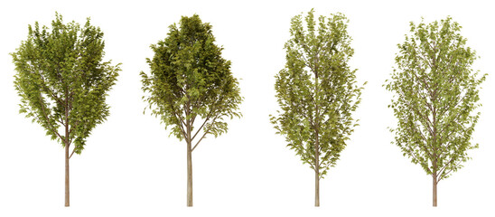 Fototapeta premium Four Green Trees Isolated, Nature, Environment, and Design Elements