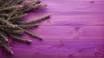 Fototapeta premium Spruce branches on a violet wood background