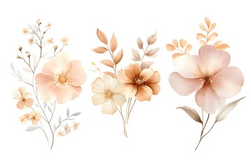 Naklejka premium Set of watercolor floral bouquet illustration collection, isolated on a white background. 