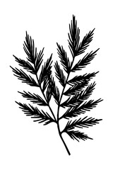 Obraz premium Leaves . Black and white botanical pattern. For use in graphics, materials. Abstract plant shapes. Minimalist illustration for printing on wall decorations.