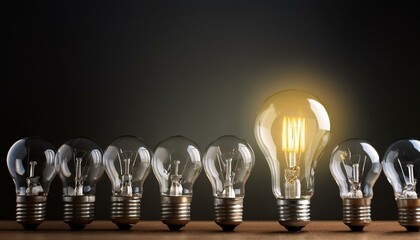 一つの輝いている電球と沢山の消えている電球（One bright bulb and many off bulbs）
