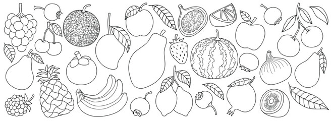Set of drawing cute fruits with line art style.