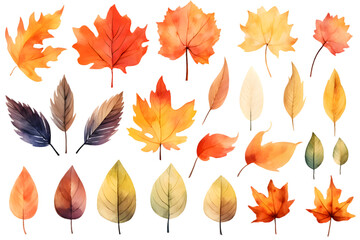 Naklejka premium Autumn yellow leaves watercolor collection isolated on transparent background