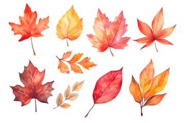 Naklejka premium Autumn yellow leaves watercolor collection isolated on transparent background