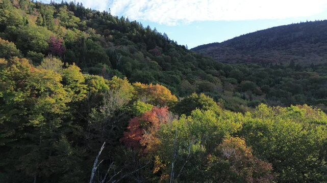 paysage de montagnes en automne	