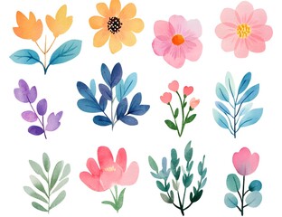 Watercolor flower clipart collection, simple flat design, white background, pastel colors, watercolor 