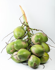 Group of green cocnuts on branch