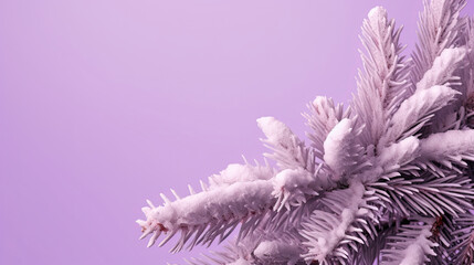 Snowy Christmas tree branches or snowy Christmas fir tree on a light purple background