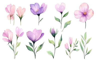 Watercolor wild flower clipart, pink and purple flowers on a white background, in different angles and poses. 