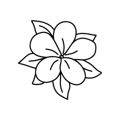Tropical flower in doodle style. Vector, on a white background