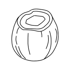Coconut in doodle style. Vector, on a white background