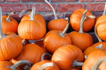 Pumpkins market for Halloween festival. Beautiful autumn shop outdoor. Fall harvest in farm store. Local holiday, jack o lantern. Seasonal homegrown organic vegetables and eco-friendly food