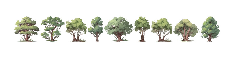 Fototapeta premium Tree vector collection. Forest illustration element.