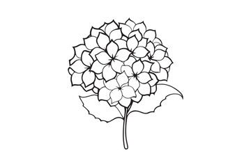 Hydrangea flower silhouette vector illustration, Hydrangea flower silhouette