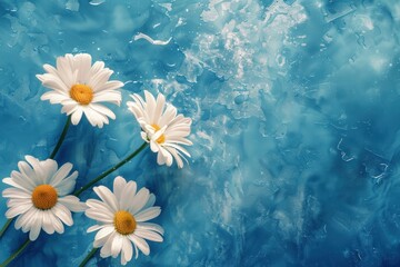 Blue summer background with white flowers empty area