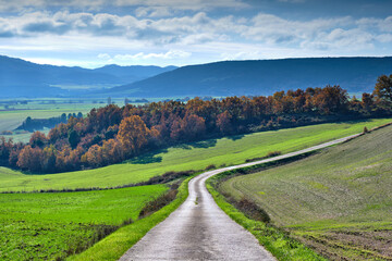 A road runs and a lush green field with trees in the background. Navarra, Spain