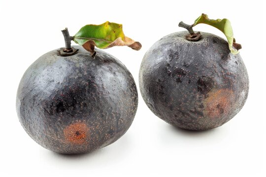 Two fresh black sapote fruits on white background