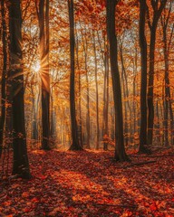 Fototapeta premium Vibrant Autumn Forest with Colorful Leaves