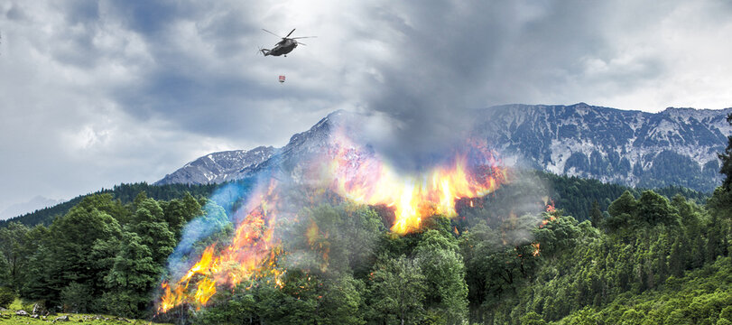 WALDBRAND #02100830B1