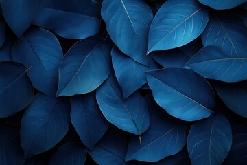 A close up of blue leaves with a dark background