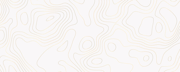 Abstract Topography with Gold Curves and Organic Flow Lines on a White Background for a Nature-Inspired Art Design
