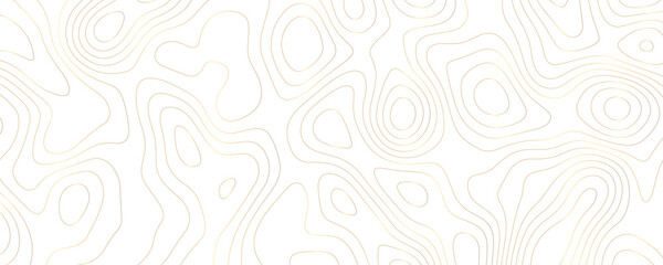 Abstract Gold Topographic Map Design with Wavy Contours and Geometric Patterns on a White Background for a Luxury Landscape Illustration
