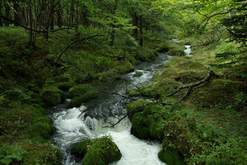 Obraz premium 湯川