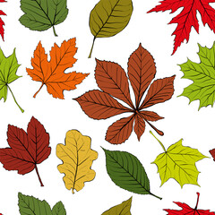 Beautiful background with leaves. Vector illustration.