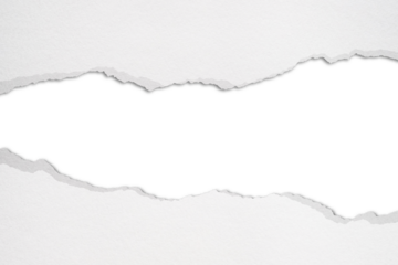 White cardboard is torn into strips on isolated against transparent background.