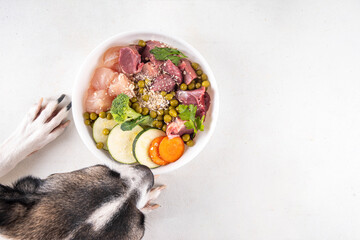 BARF (Biologically Appropriate Raw Food) food concept, Healthy bowl for domestic pets background with dog paws in pic.  Portion of raw meat, chicken, fish, vegetables, oats