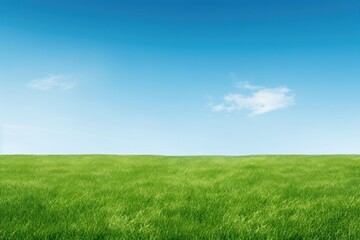 Fototapeta premium Perfect green lawn backgrounds outdoors horizon.