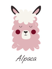 Fluffy alpaca illustration. Cute hand drawn portrait of an animal for children's room design, poster, greeting card.