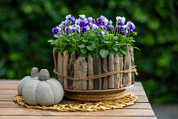 Creative flower pot made from wooden sticks with vibrant pansies (viola) on a wooden table