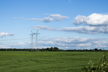 Bright green meadow withrow of high-voltage power line poles in the background against the blue sky with white clouds. Power lines stretching into the distance. Perspective. Electricity