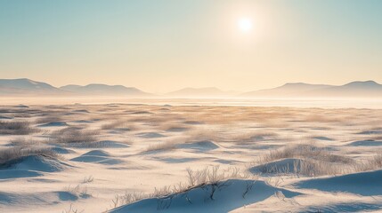 Obraz premium A vast, open tundra under a pale winter sun, with snowdrifts and distant mountain ranges in the background