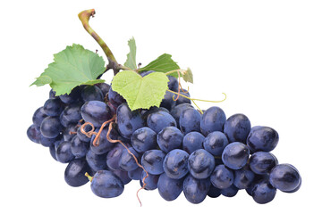 Bunch of grapes isolated on white