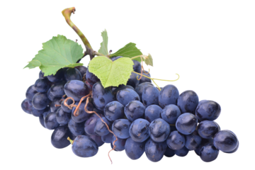 Bunch of grapes isolated on white