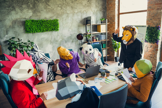 Photo of rooster gorilla sloth panda zebra raccoon mask people listen lion king boss meeting loft interior office indoors